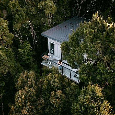 Treetop Tranquility At Rekindle Tree Houses Opua Екстериор снимка