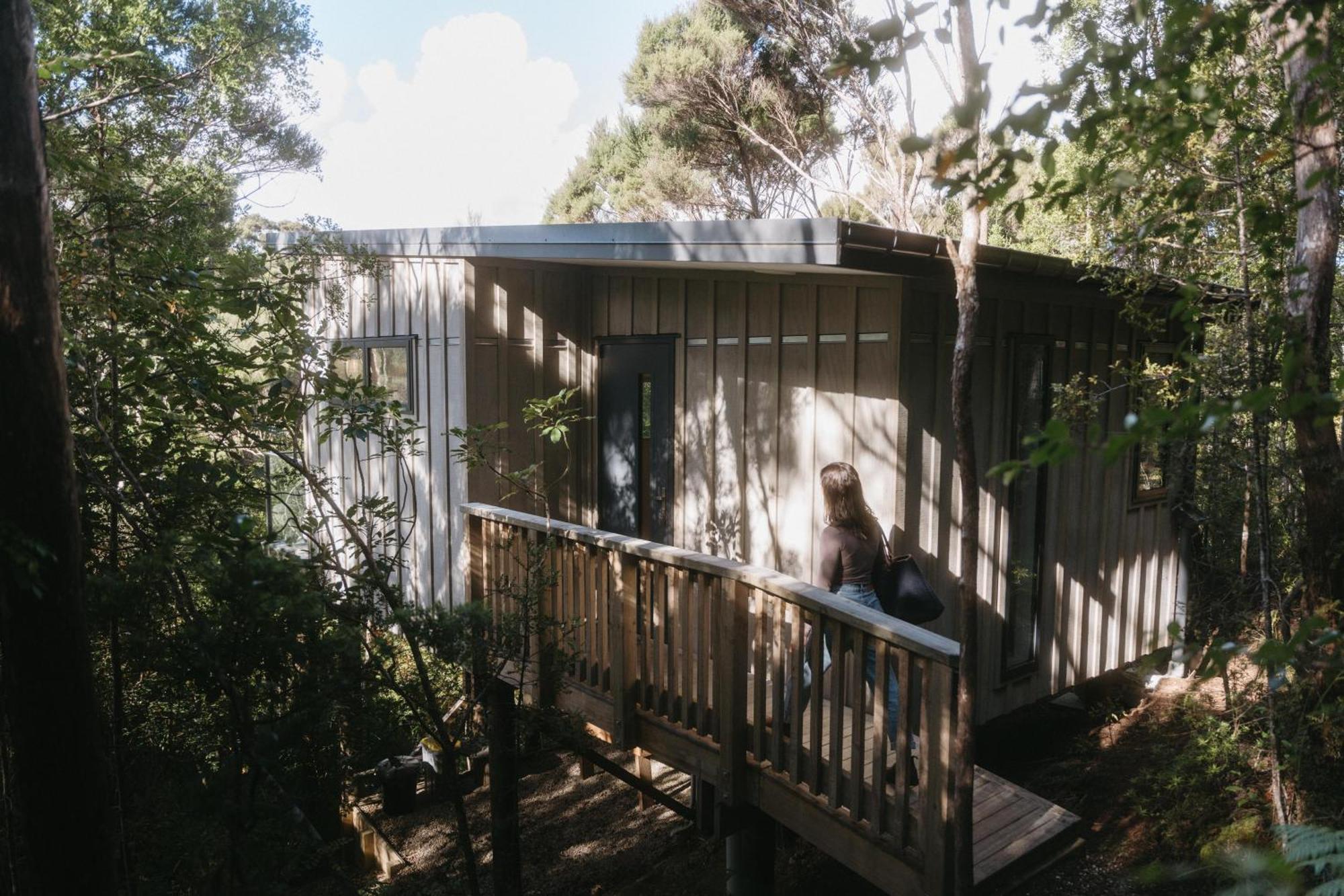 Treetop Tranquility At Rekindle Tree Houses Opua Екстериор снимка