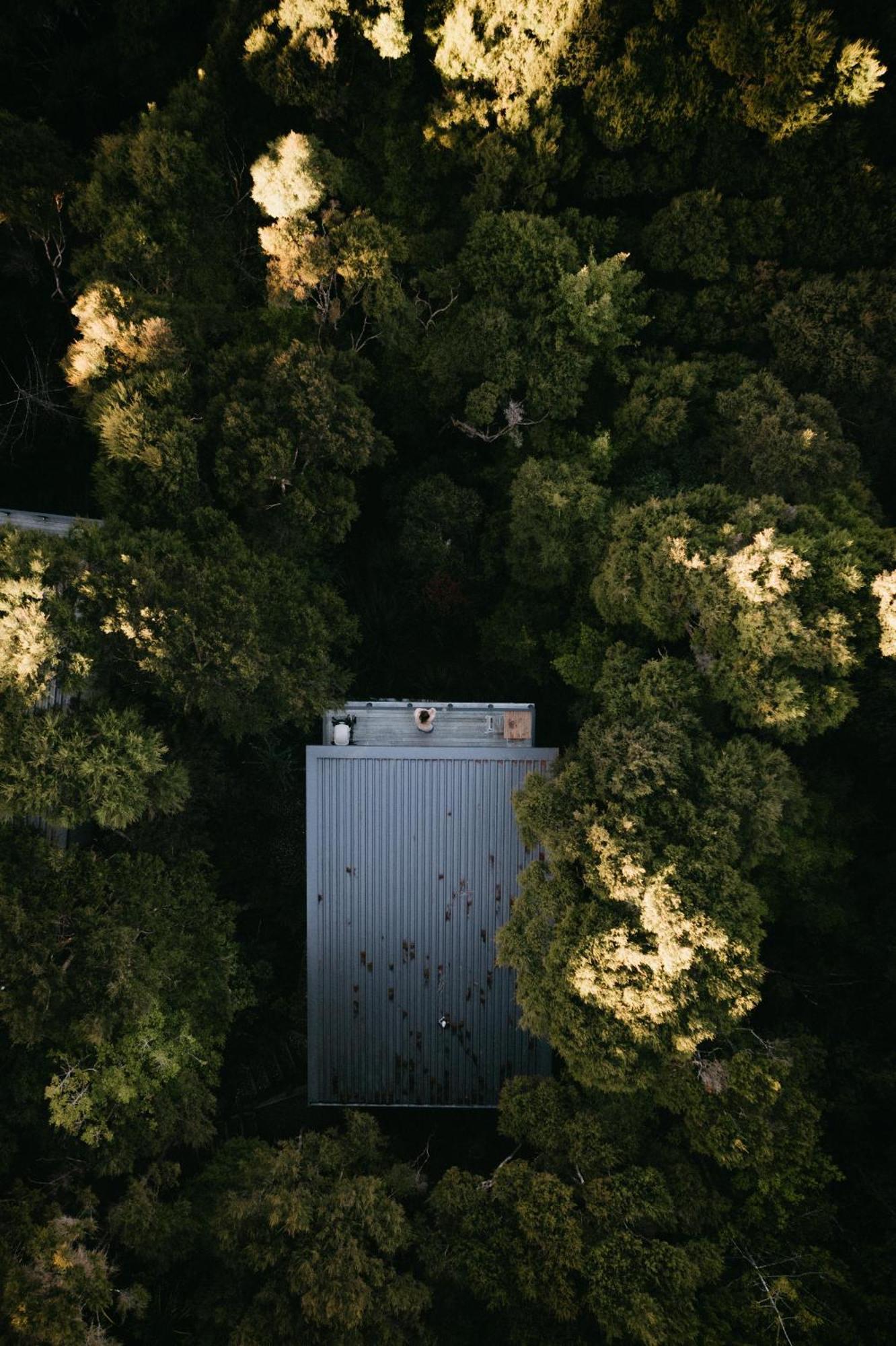 Treetop Tranquility At Rekindle Tree Houses Opua Екстериор снимка