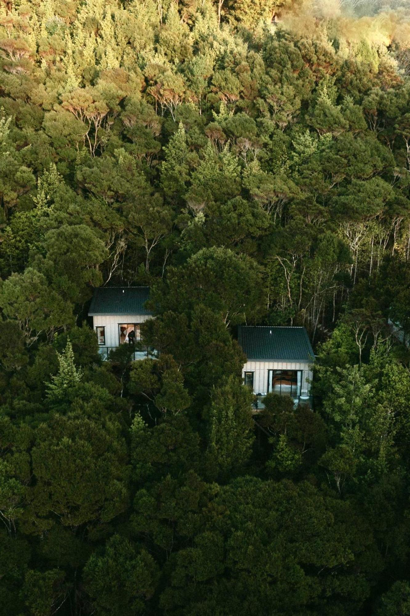 Treetop Tranquility At Rekindle Tree Houses Opua Екстериор снимка